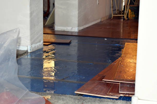 Professional Water Extraction technician working in Otter Lake, MI